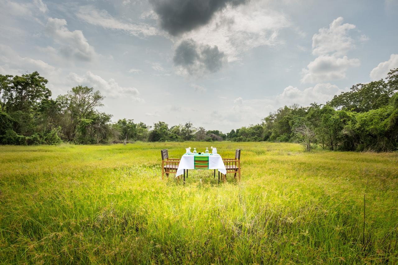 Mahoora - Wilpattu By Eco Team Hotel Buitenkant foto