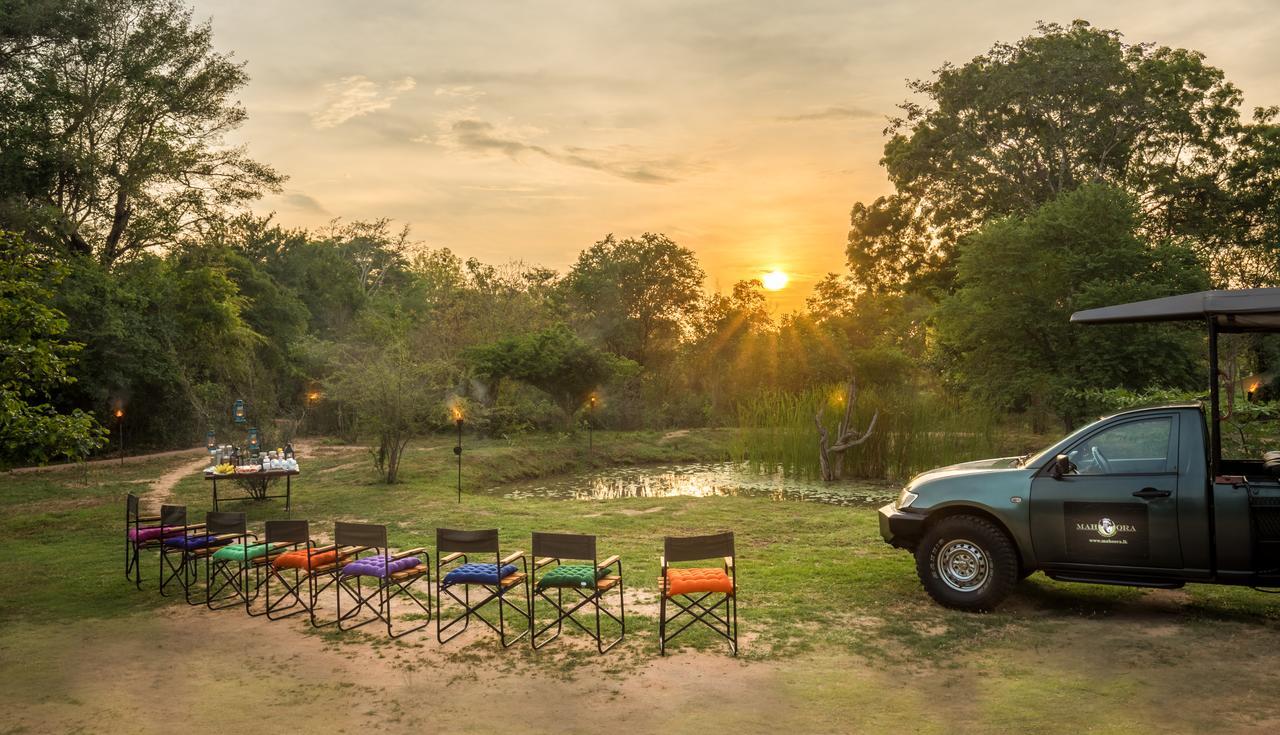 Mahoora - Wilpattu By Eco Team Hotel Buitenkant foto